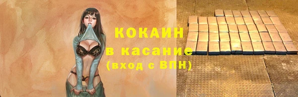 гидра Надым
