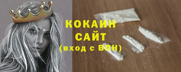 прущий лед Новозыбков