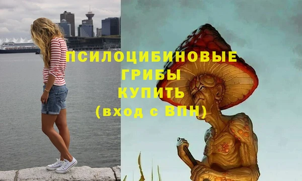 гидра Надым