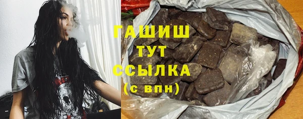 гидра Надым