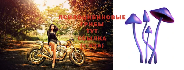 MESCALINE Нефтекумск