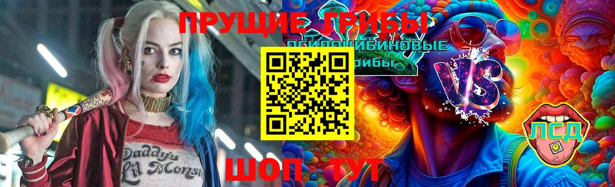 Галлюциногенные грибы GOLDEN TEACHER  Вход с VPN  Искитим 