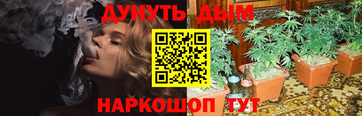 Бошки Шишки Bruce Banner Искитим
